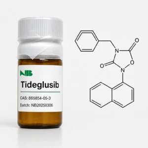 Tideglusib powder CAS 865854-05-3 high purity GSK-3 inhibitor compound for dental and neuroscience research