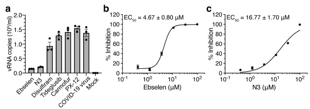 ebselen- covid virus