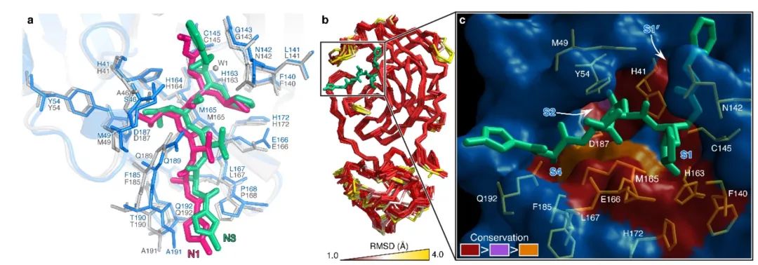 Structure of Mpro from COVID-19 virus and discovery of its inhibitors