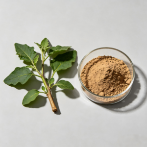 Herb Extraction